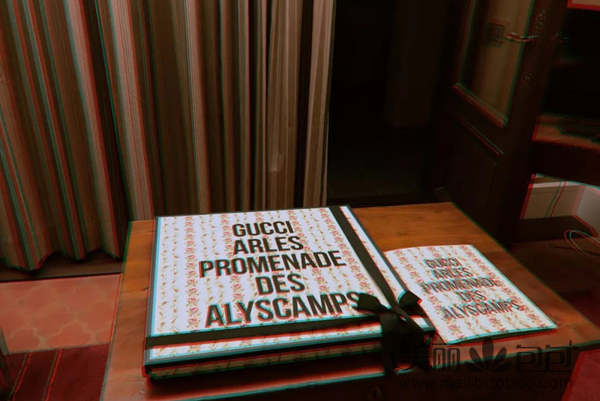 透明包包制作香奈儿Gucci很疯狂的2019早春秀 不死的