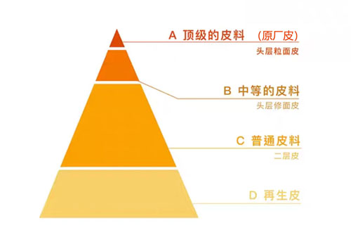 皮料的金字塔等级分类图